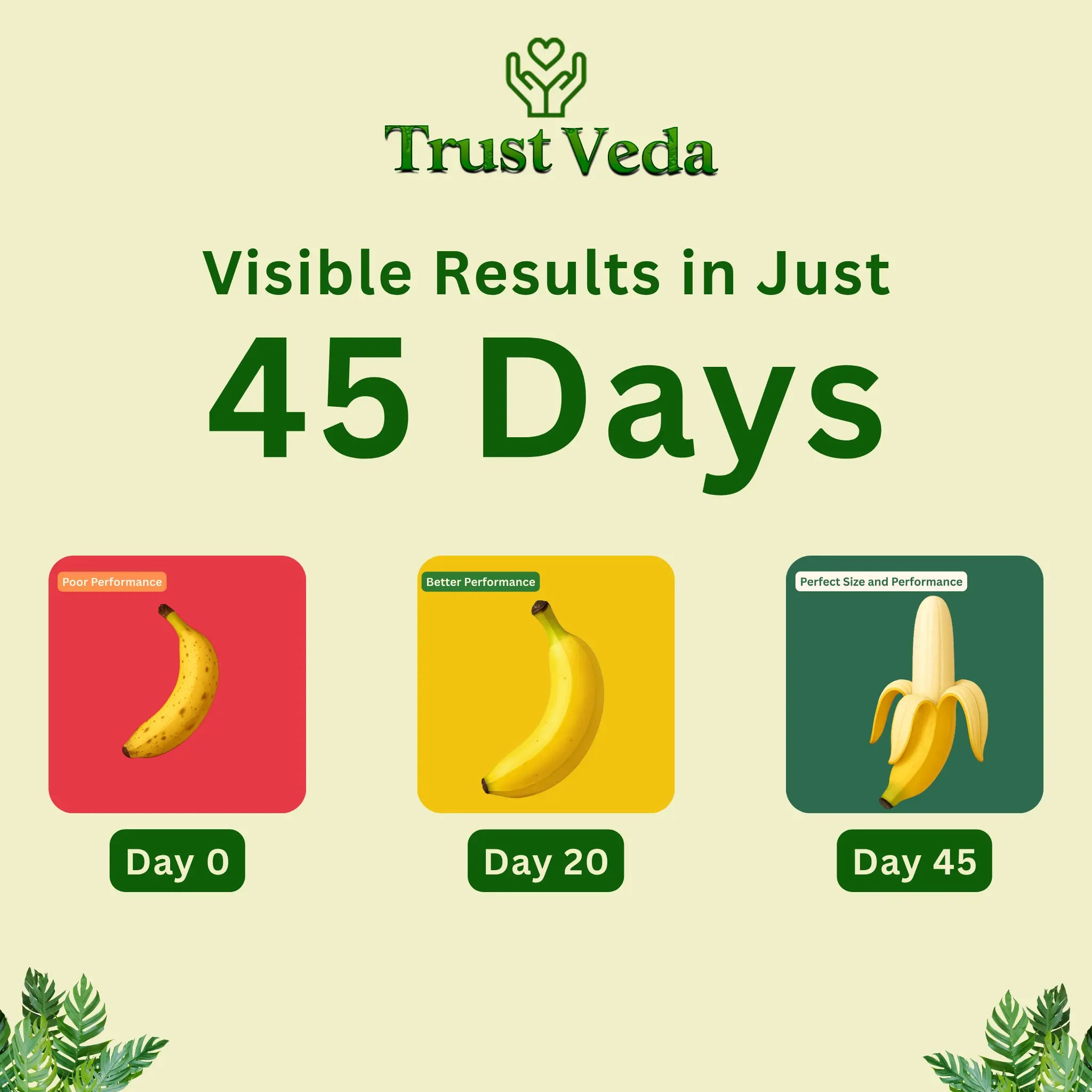 Power Up Massage Oil for Men (30ML) - Boost Intimacy Power 🥵